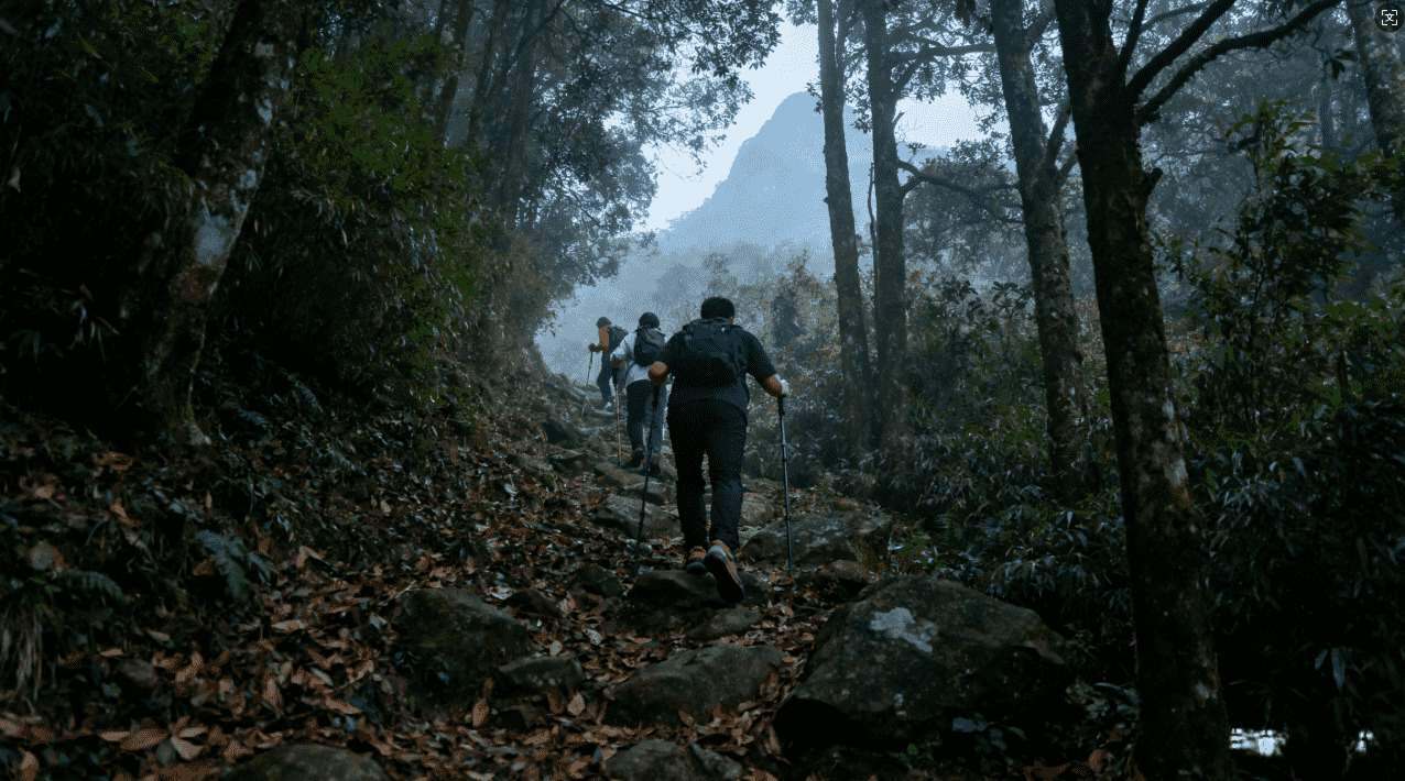 多类型网络加速器与梯子的详细介绍与选择指南